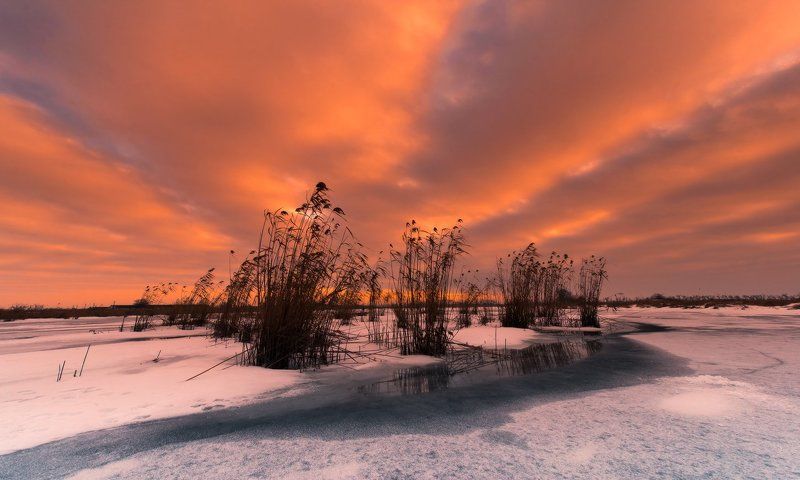 Я знаю пароль, я вижу ориентир, Ещё два по 0,5 и любовь спасет мир.photo preview