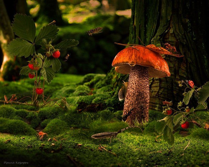 Место встречиphoto preview