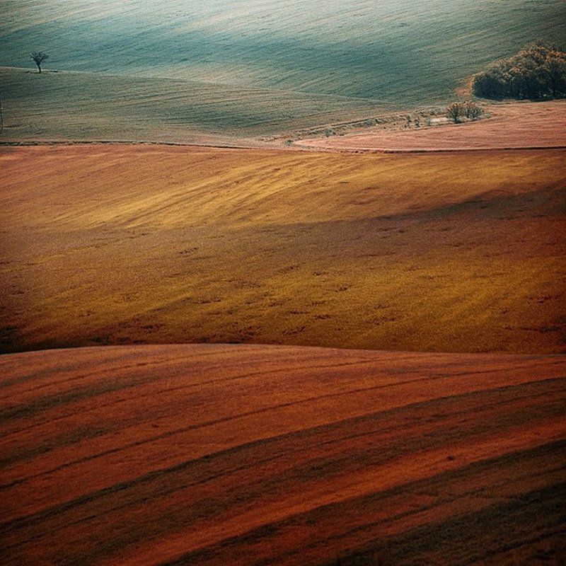 Color and linesphoto preview