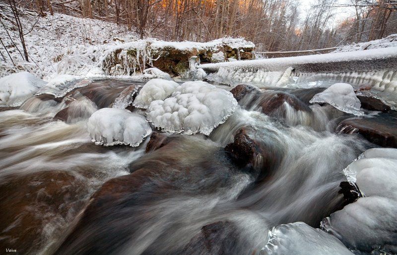 winter lifephoto preview