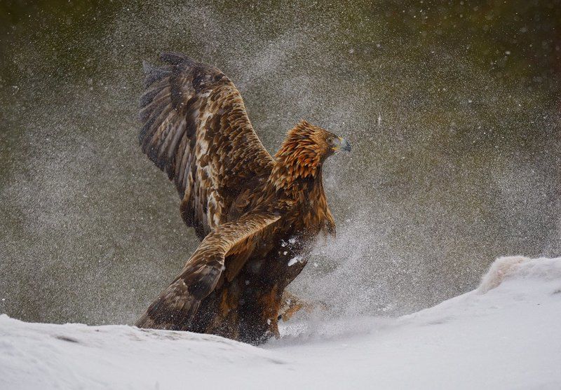 ветренноphoto preview