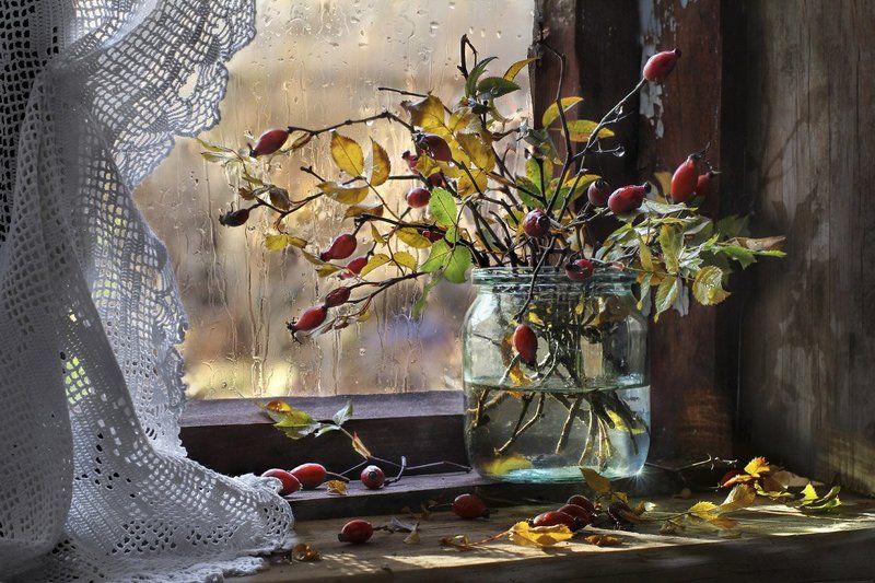 после дождя...photo preview