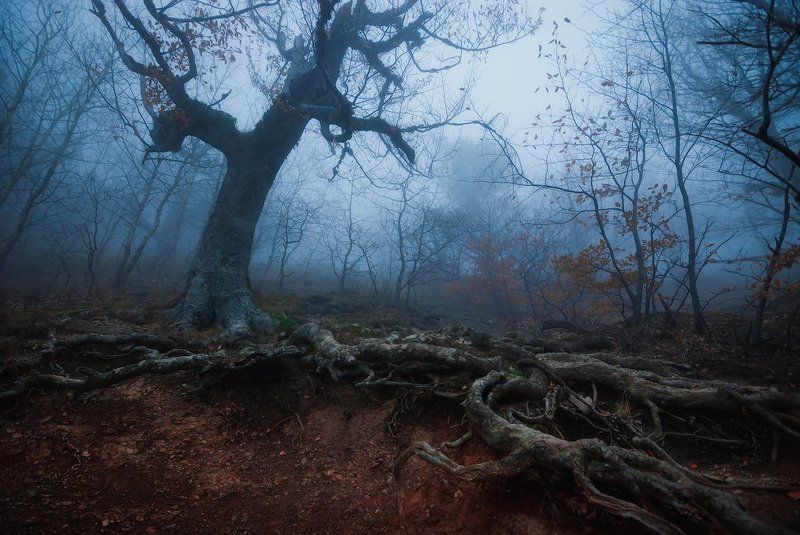 крым, демерджи Долина Привиденийphoto preview