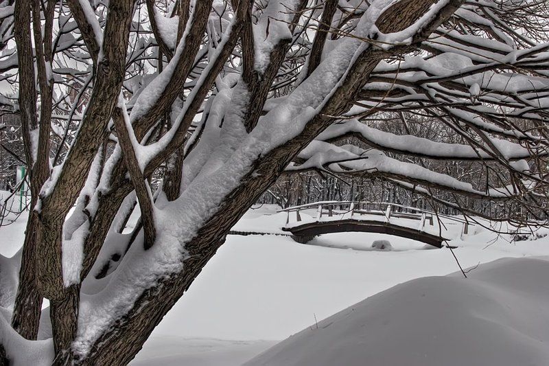 В московских паркахphoto preview