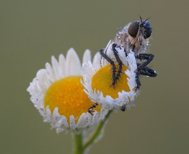 На повороте ... грубо на холодной локтя.photo preview