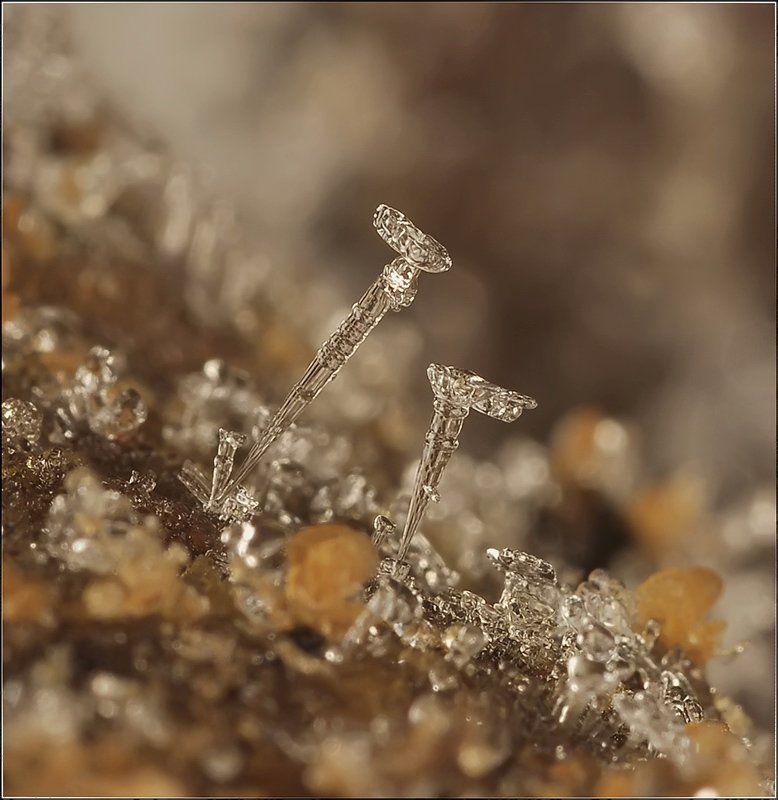 Не открытые тайны...photo preview