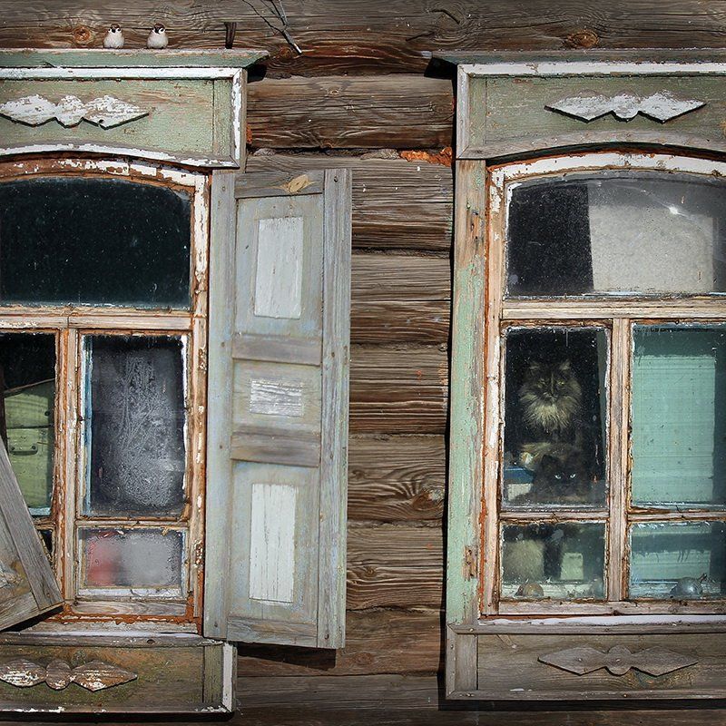 Про котов, воробьев и деревню.photo preview