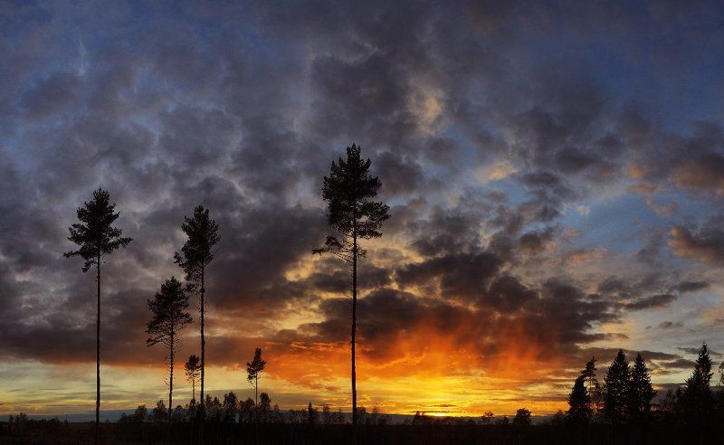 Тяга к жизниphoto preview