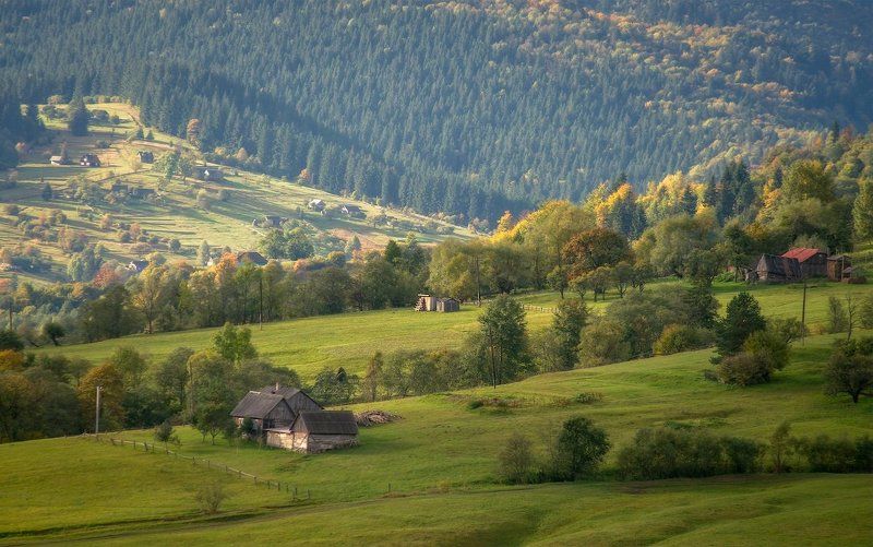 Жизнь на склонахphoto preview