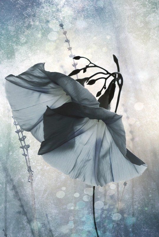 Двое...photo preview