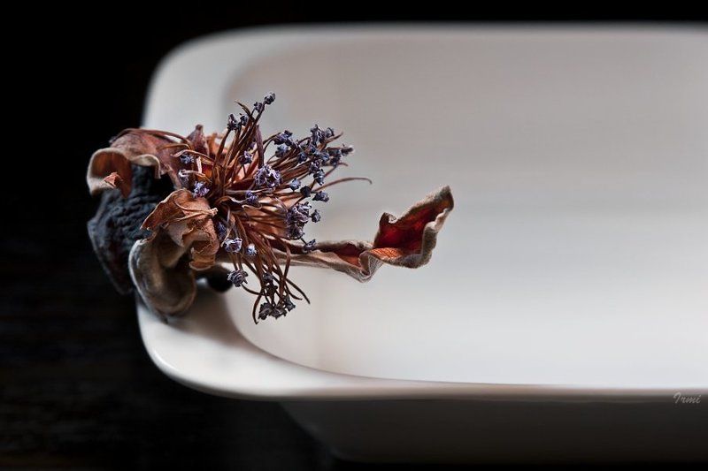 Одиночествоphoto preview