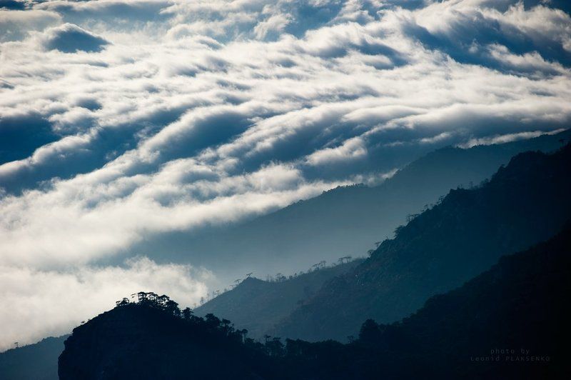 выше облаковphoto preview