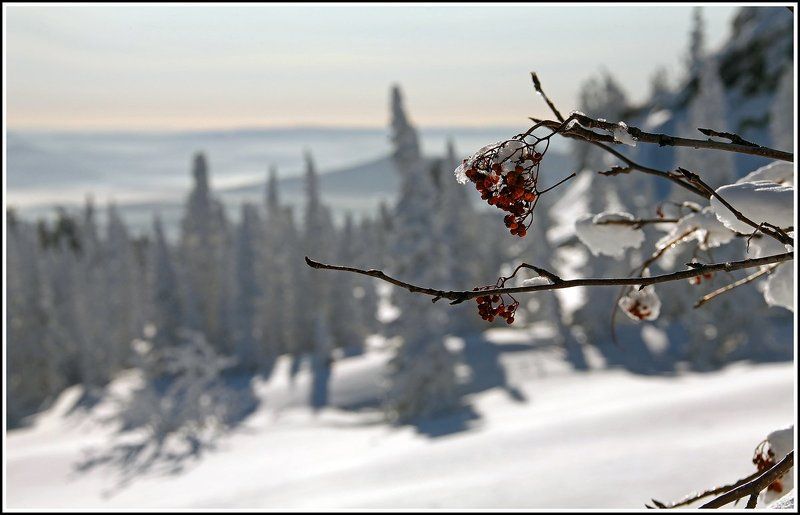 Зимняя зарисовка ...photo preview