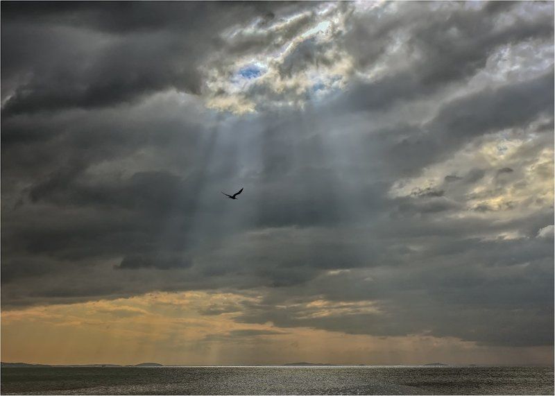 Между тучами и морем гордо реет Буревестник, черной молнии подобный.photo preview