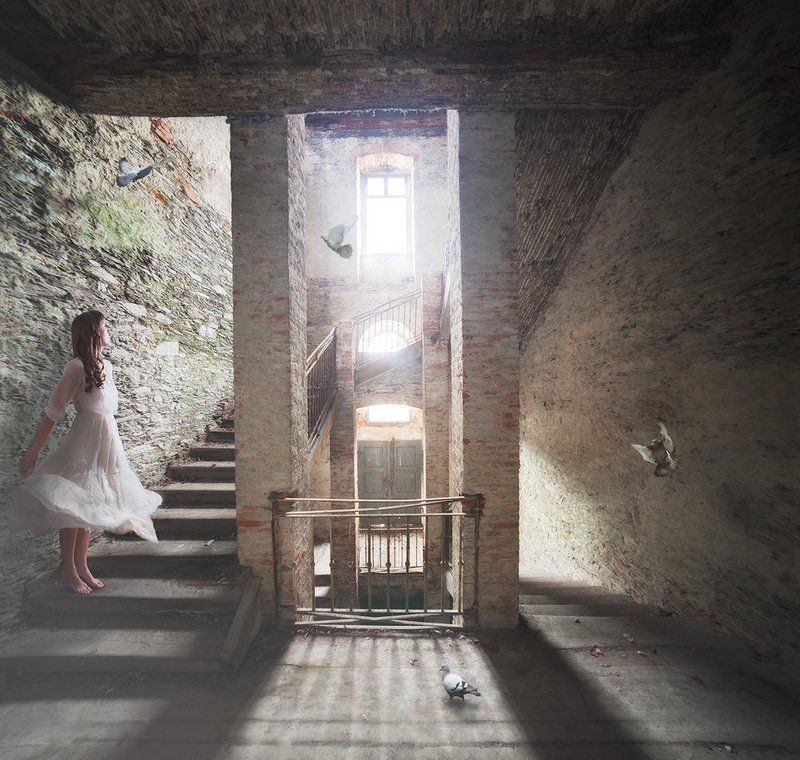 Back To Lifephoto preview