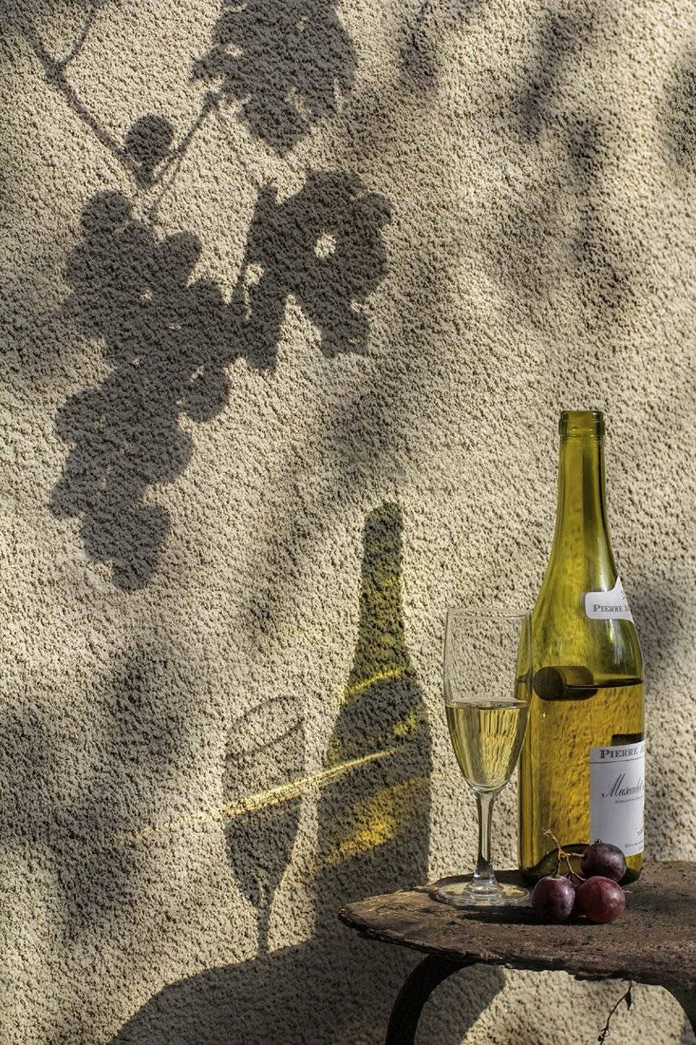 , Светлана Павловская