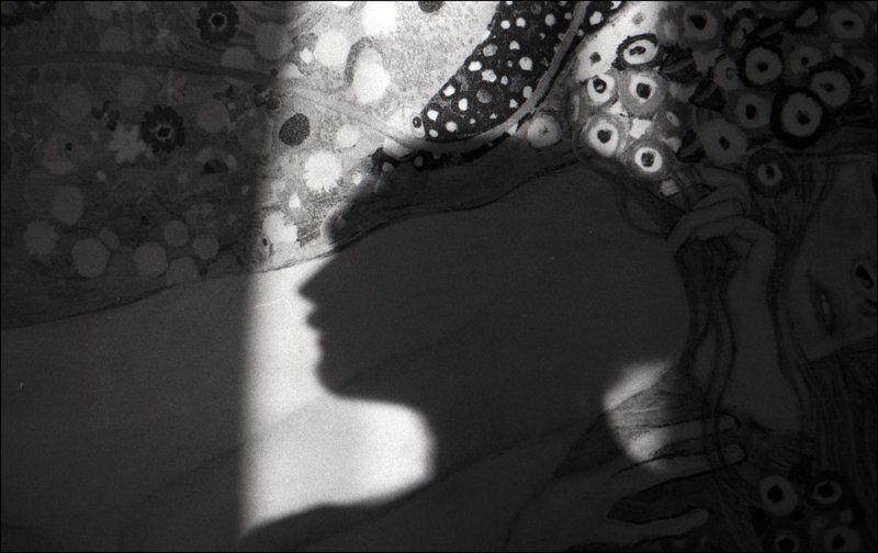 тарбеев, tarbeev, тень -photo preview