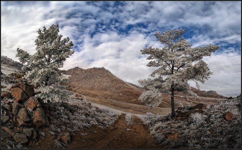 Ворота в сказкуphoto preview