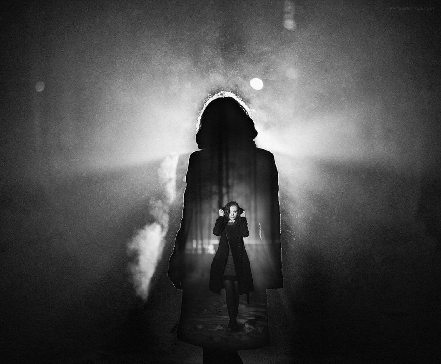 Alter ego. Автор: Пантелеев Алексей , Пантелеев Алексей