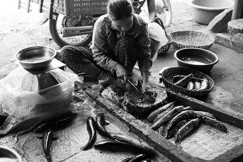 камбоджа, жанр, жизнь, жанровый портрет чистить рыбу фото превью