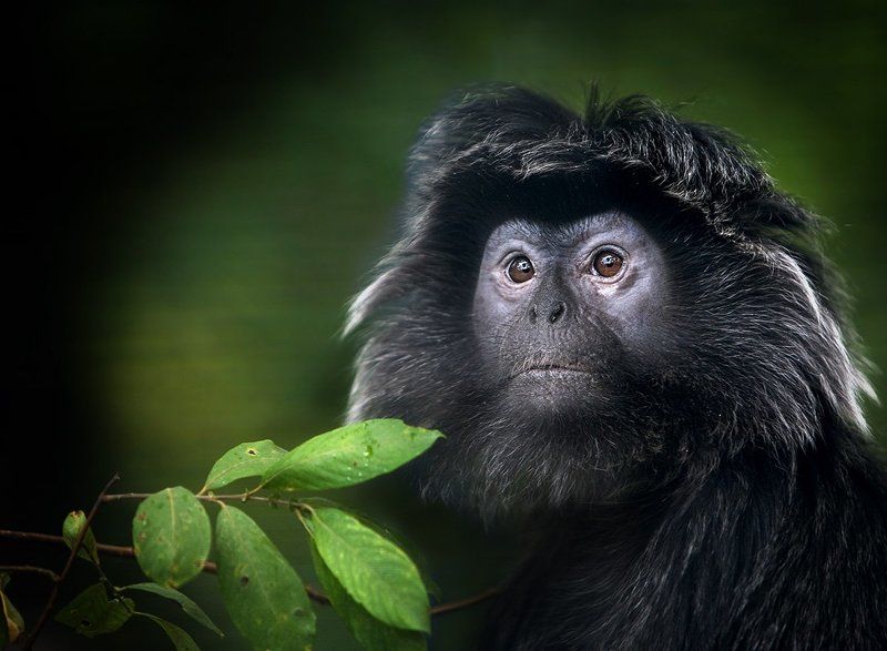 Есть ли жизнь на Марсе..?photo preview