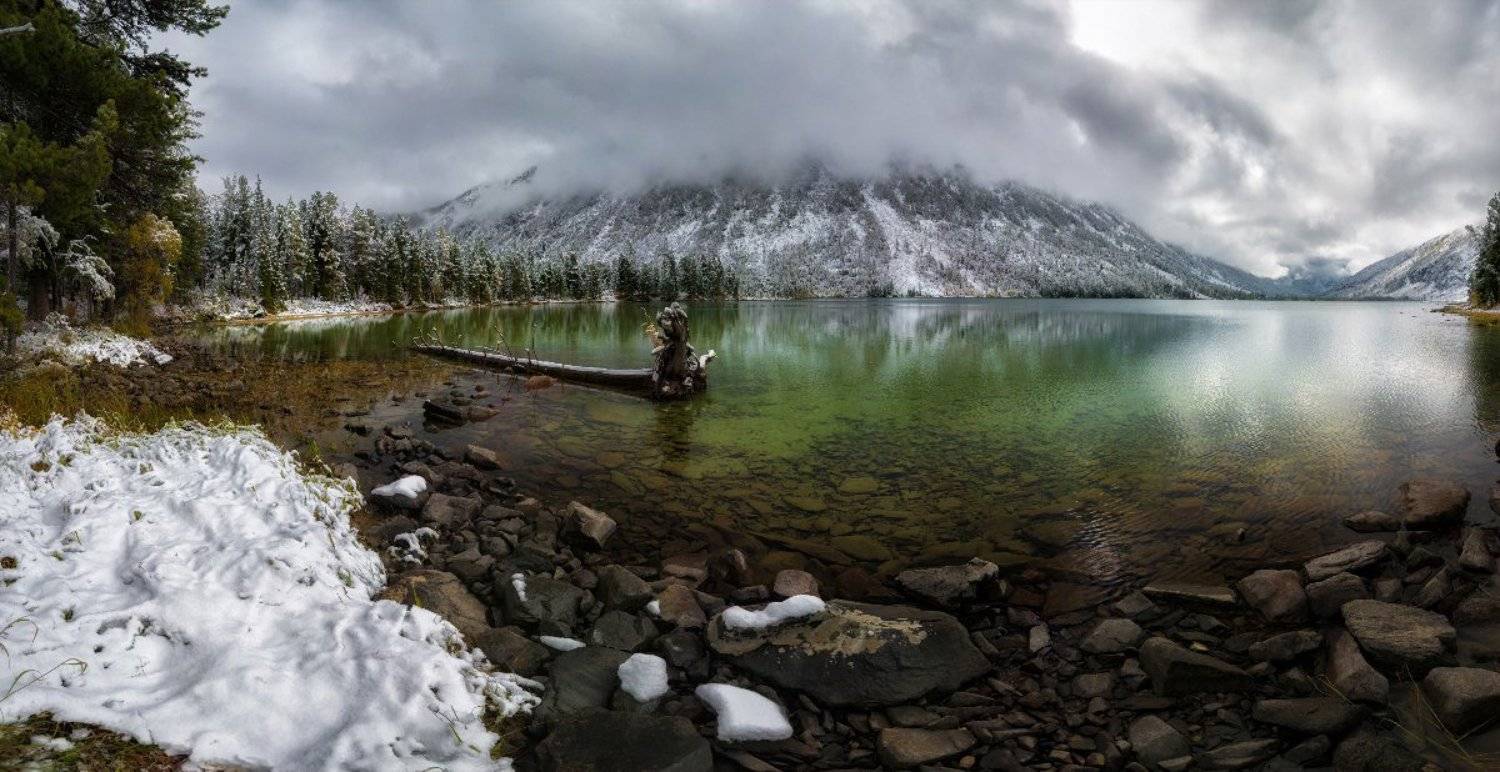 , Андрей Грачев