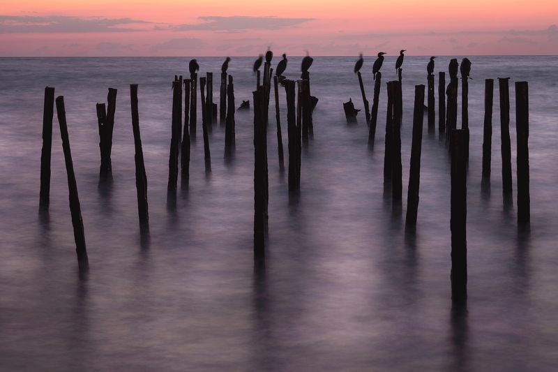 БАКЛАНphoto preview