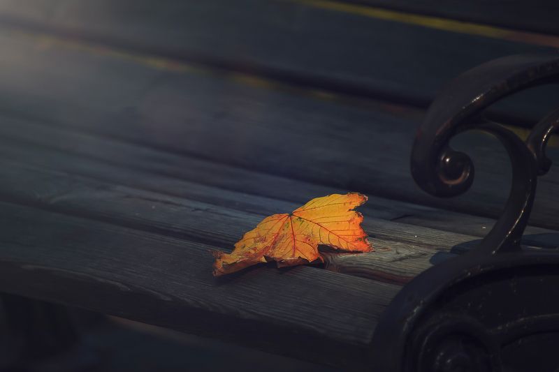 Последнее свиданиеphoto preview