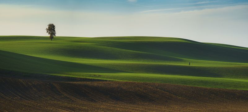 Chestnutphoto preview