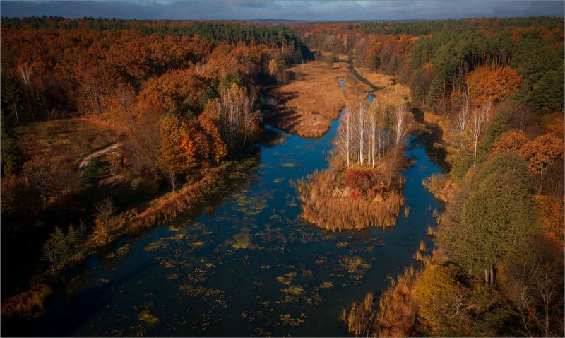 Березовый островокphoto preview