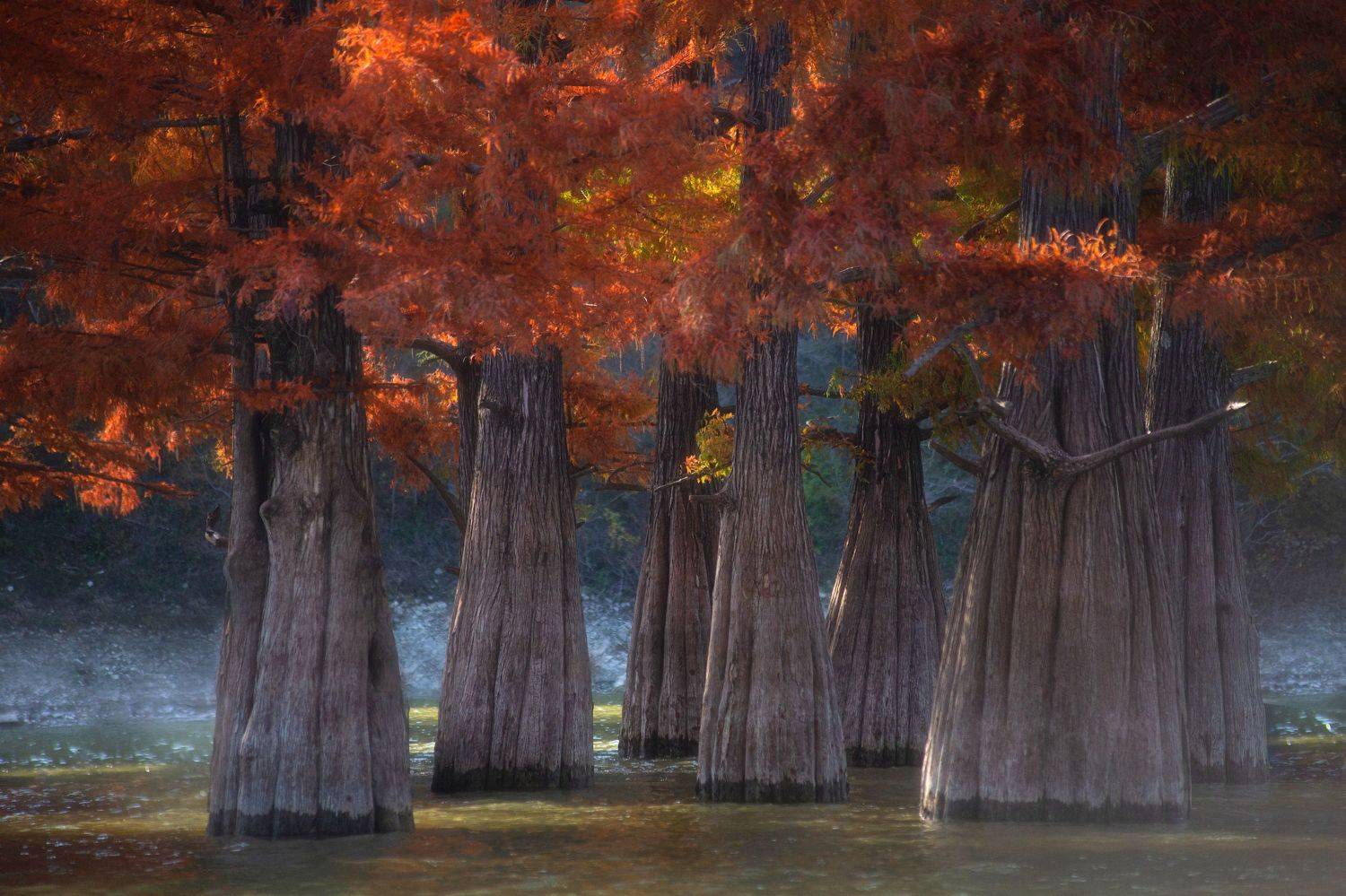 , Павел Сагайдак