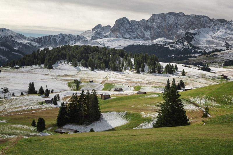 осень;, снег;, горы;, лес;, альпы;, италия Between Autumn and Winterphoto preview