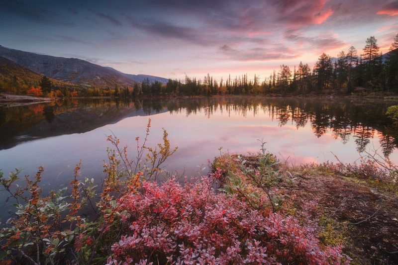 россия, мурманская область, кольский полуостров, хибины, заполярье, осень, природа, пейзаж, лесотундра, осень, рассвет, отражение, озеро Краски Кольскогоphoto preview