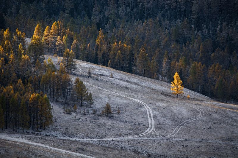 осень,алтай искусство быть первымphoto preview