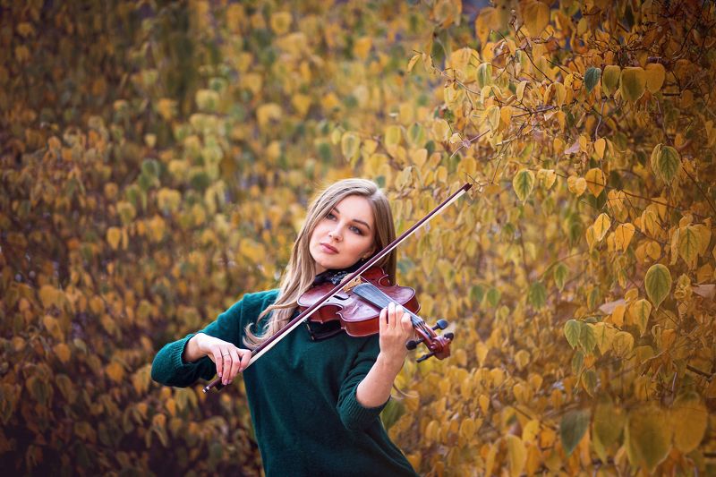 Осенняя мелодияphoto preview