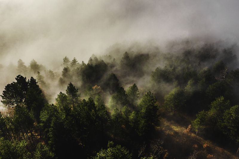 Morning mysticsphoto preview