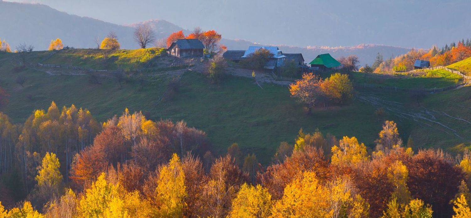 , Александр Подрез