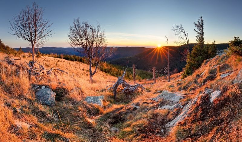 landscape, tree, sunrise, panorama Autumn Morning (Jeseníky)photo preview