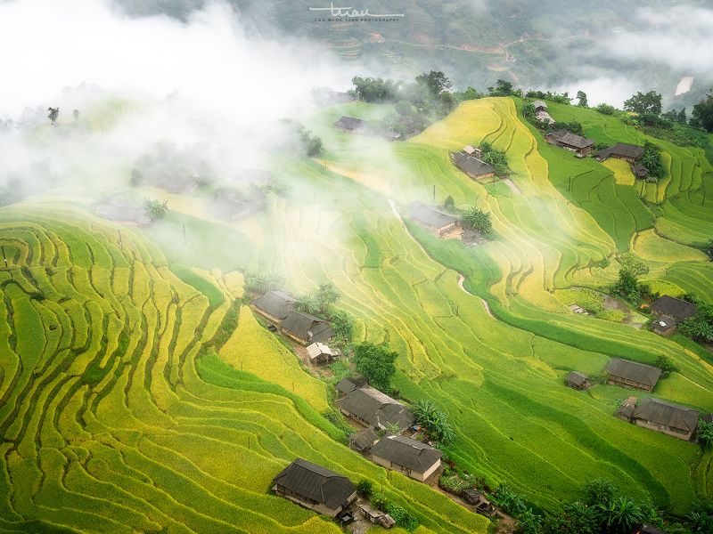 Ban Phung 03photo preview