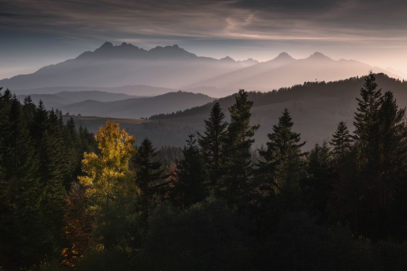mountains, autumn, poland, slovakia, sunset Tatra Mountainsphoto preview