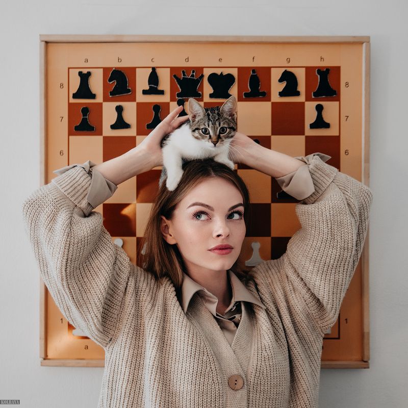 кошка, портрет Играphoto preview