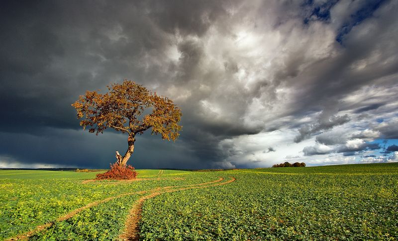 Before stormphoto preview