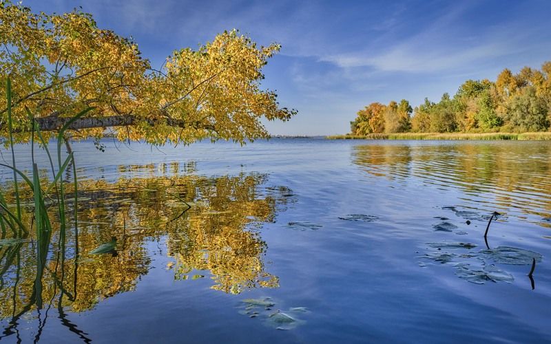река, золотая листва, осень, небо, облака, красочное позолотило...photo preview
