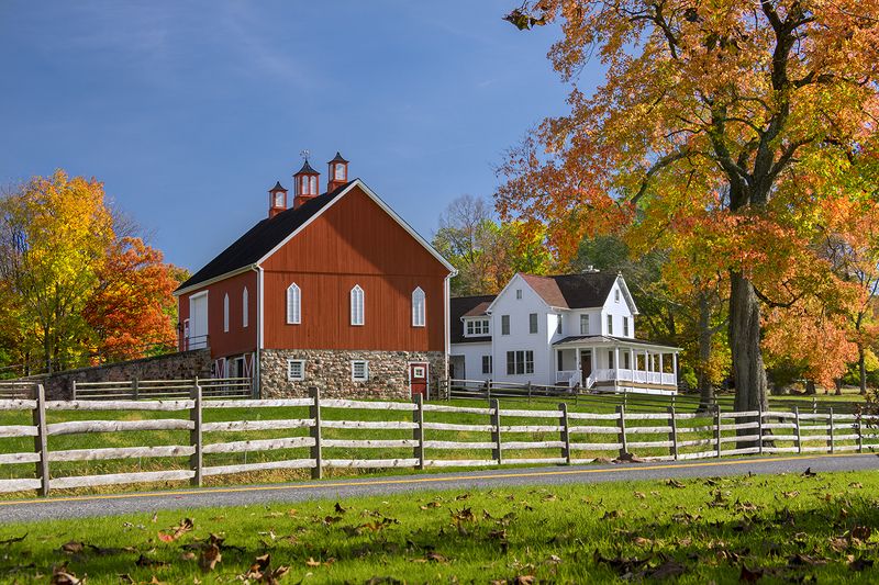 autumn colorphoto preview