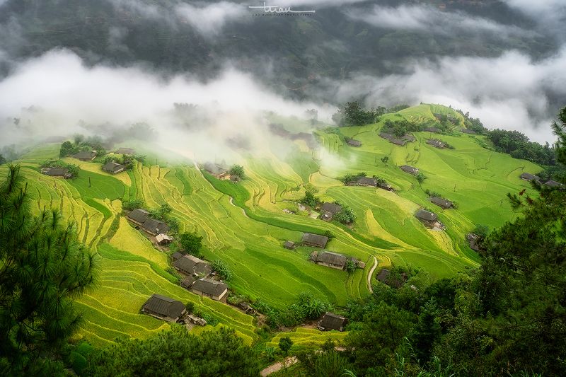 Ban Phung 04photo preview