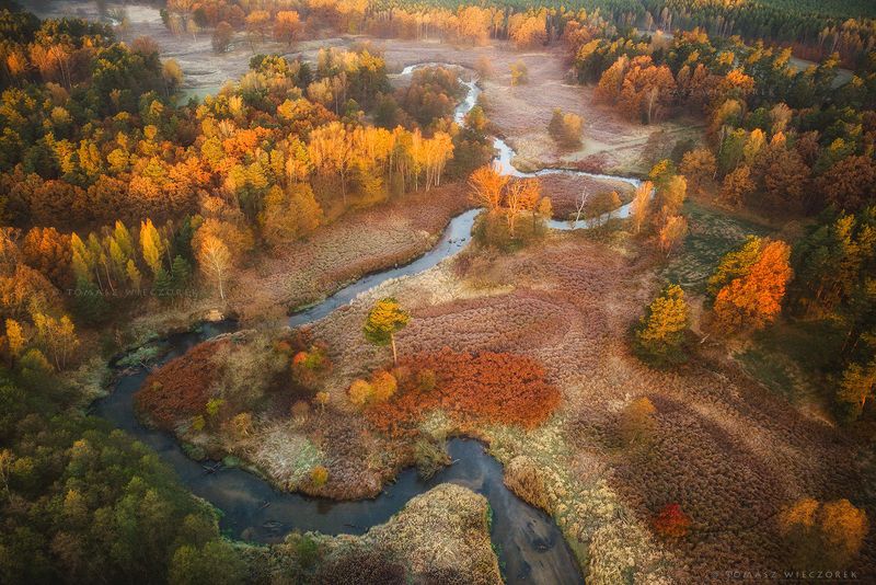 landscape, poland, light, autumn, awesome, amazing, sunrise, sunset, lovely, nature, travel, drone, trees, orange, shadows, dji, river, colors Touch of light of sunrisephoto preview