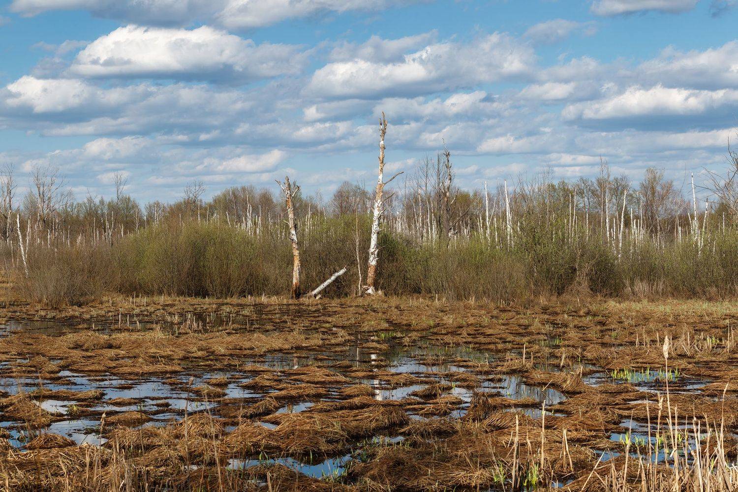 пейзаж, Сергей Сергеев