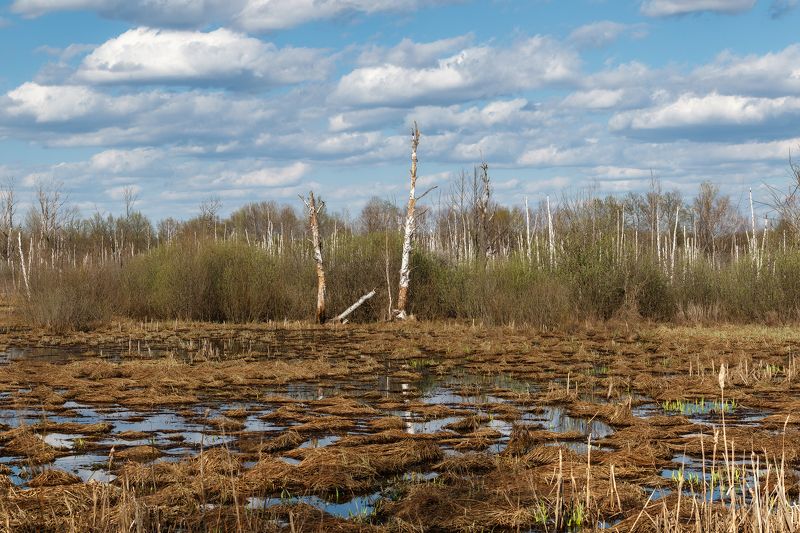 пейзаж Топьphoto preview