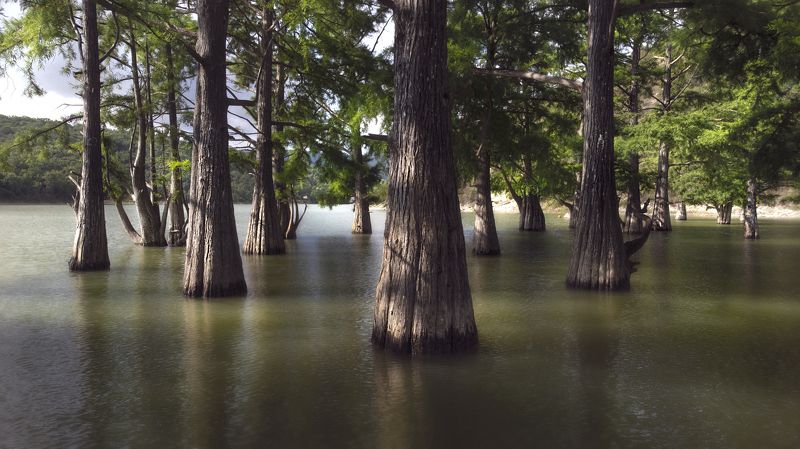 #сукко Кипарисовое озероphoto preview