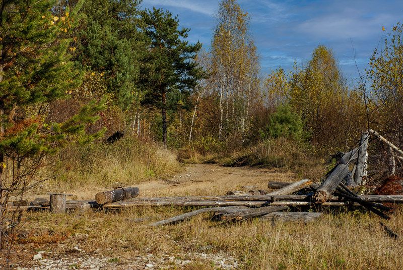 Вятские лесаphoto preview